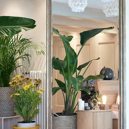 Penzion Exclusive With Sauna, City Center- Canal View *